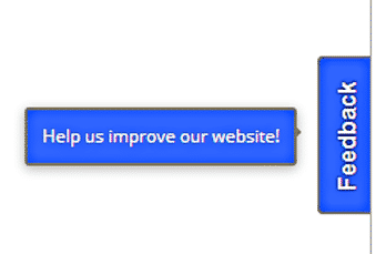 feedback form on the site