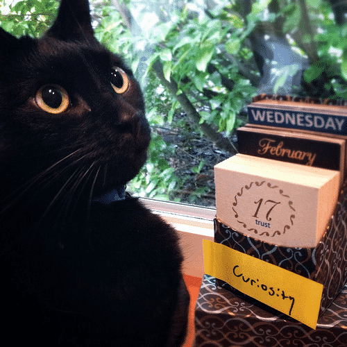 Curiosity is a great way to get people clicking.