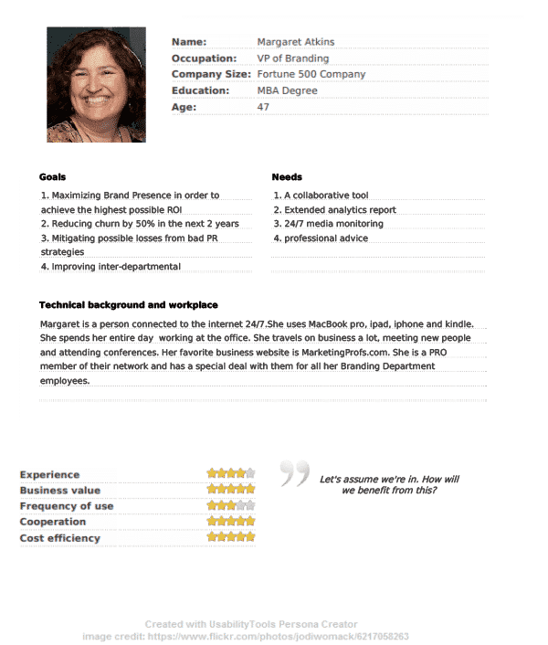 A sample user persona