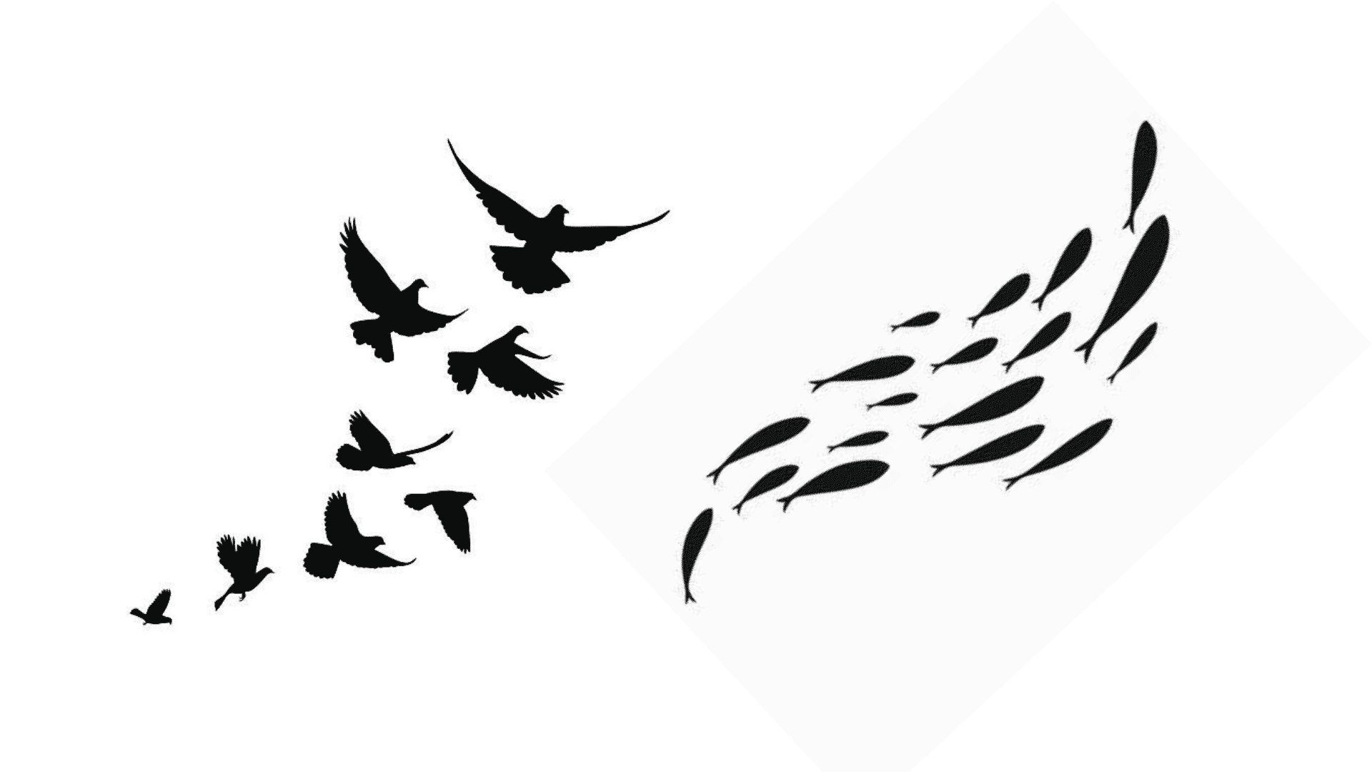 Law Of Common Fate- UX Design Example