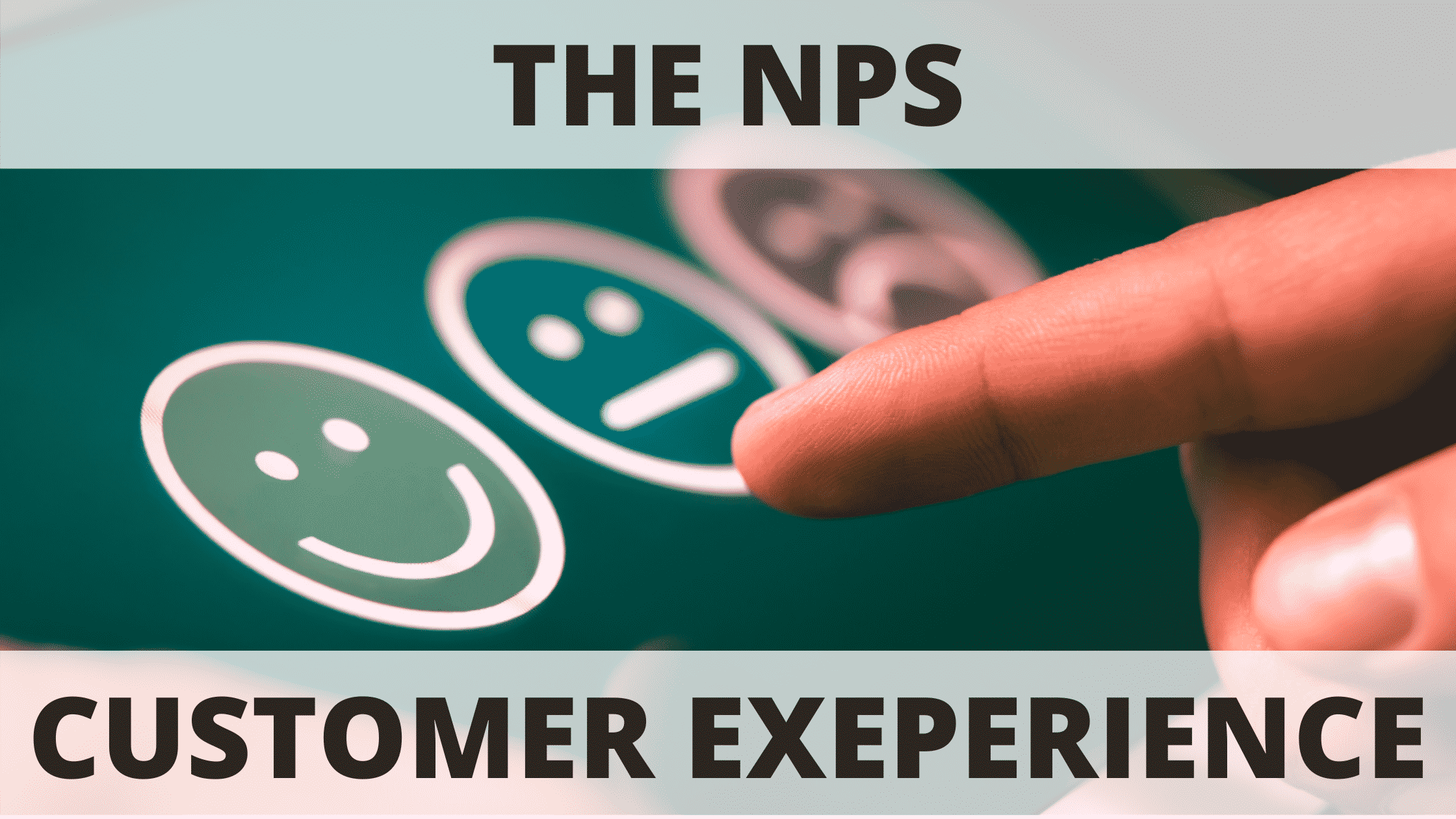 THE NPS CUSTOMER EXPERIENCE
